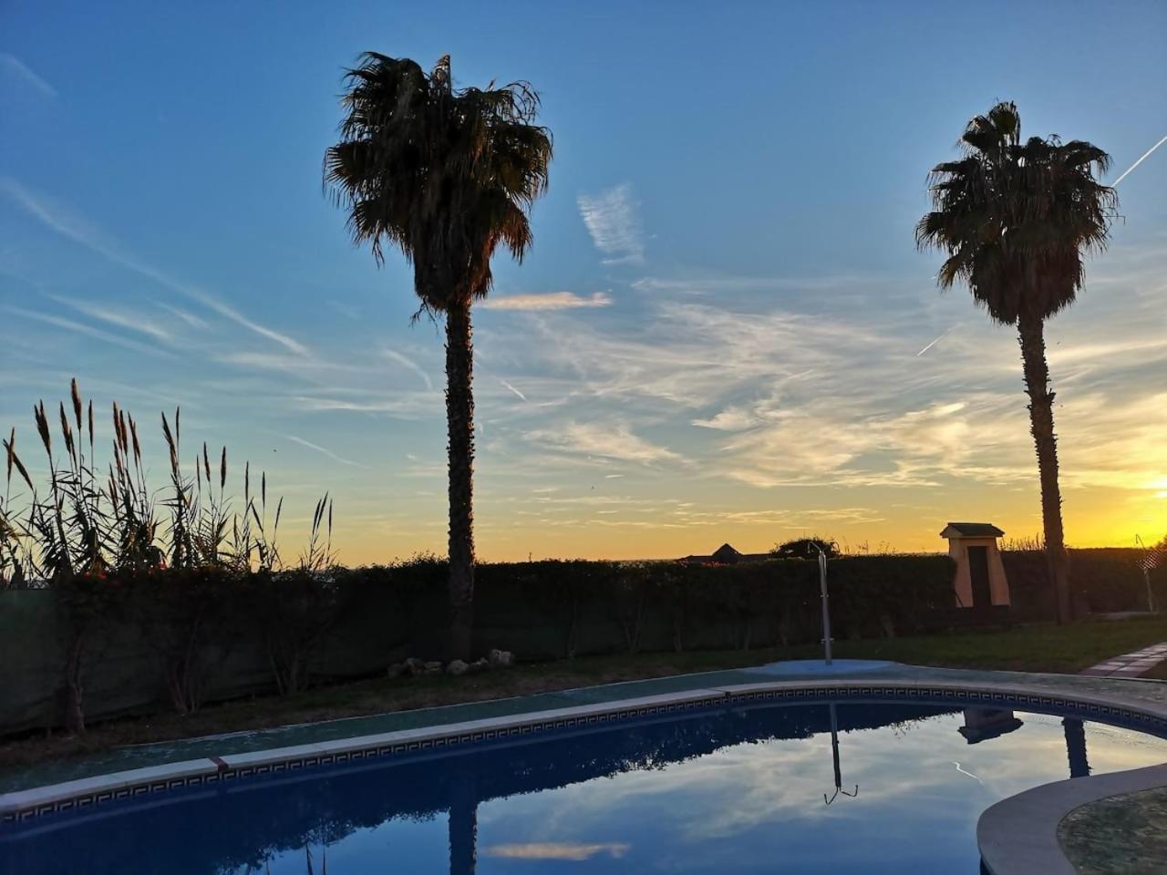 贝纳哈拉菲Espectacular Residencial En 1A Linea Con Piscina公寓 外观 照片